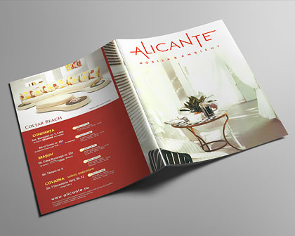 Contemporary Furniture Brochure